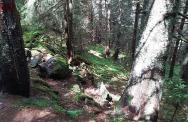 Les Perthuis - Portes du Soleil - Photo 23