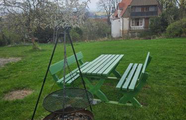 Willa "Pod Bukiem" - Foto 39