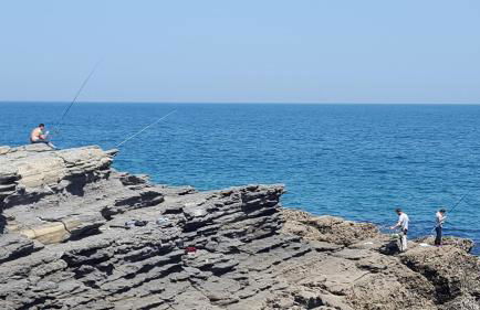 Playasonabia - Photo 24