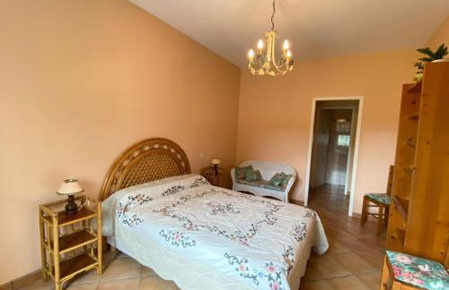 Semi-detached House on a Vineyard, Talais - Foto 17