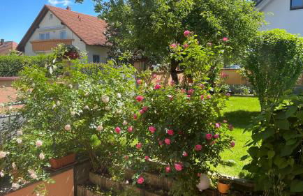 Ferienwohnung Am Eck - Photo 29