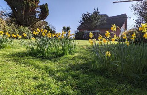 Mole Cottage - Foto 95