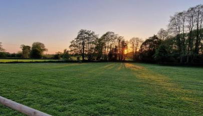 Cosy Owl - Shepherds Hut - Foto 3