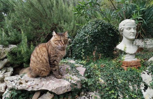 The Forest House Krk 1 - Photo 15