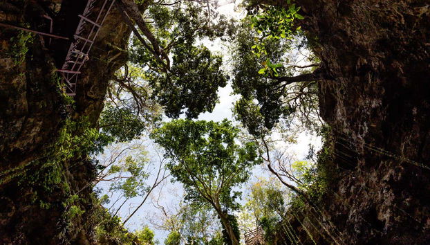 Immerse yourself in nature