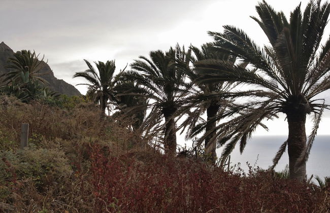 Casa Oásis Atlántico, Rincón Secreto al Pie de los Senderos - Foto 36