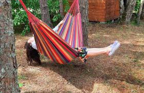 Między Sosnami - Foto 35