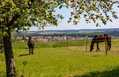 Pferdehof Bischof - Foto 15