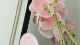 Le Standing, hyper centre T2 - Foto 4