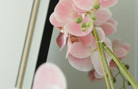 Le Standing, hyper centre T2 - Foto 4