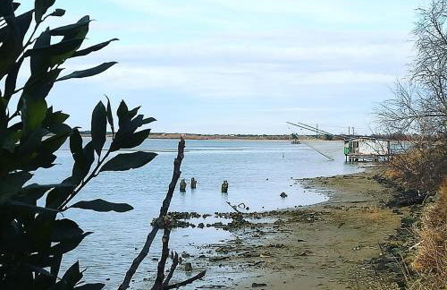 Bilocale Marina Romea - Photo 29