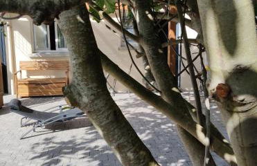 DniceParis - Foto 12