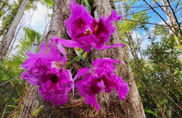 Unique Lava House by steaming crater - Photo 45