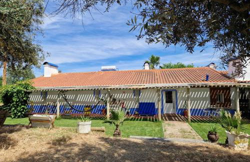 Monte das Aranhas - Foto 15