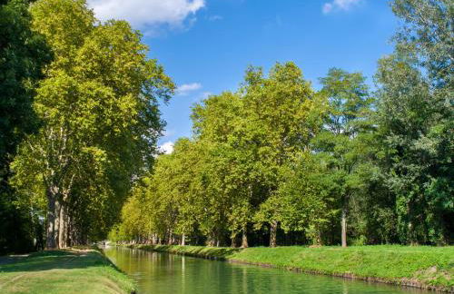 Aparthotel Adagio Access Strasbourg Illkirch - Foto 34