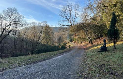 Schwarzwaldhütte am Bach mit Sauna - Foto 14