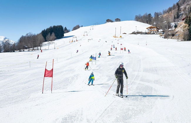 Holiday Home in Niedernsill Near ski Area - Foto 1