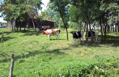 Fajne Miejsce - Foto 20