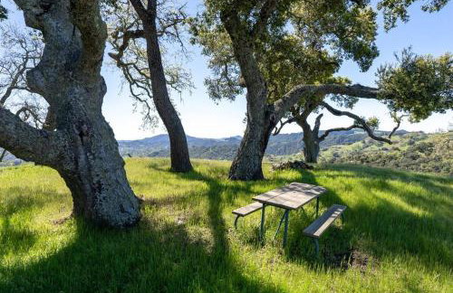 Hilltop Vistas-Private Pool, Firepit, Views - Foto 57