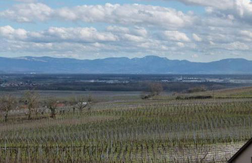 Domaine du Bouxhof - Foto 18