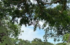 Rancho Piau - Foto 64