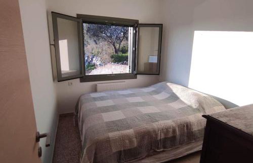 Admonis - Home in the olive grove - Foto 15