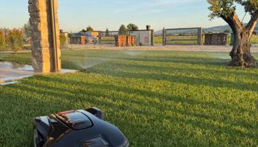 PalmHouse Cristian - Foto 4