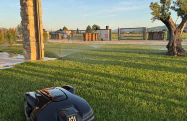 PalmHouse Cristian - Foto 4