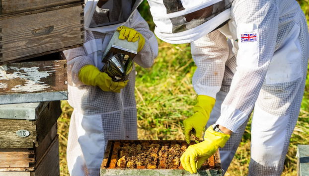 Luxury Glamping - Charlcombe Valley Orchards Bath - Foto 3, Habitación