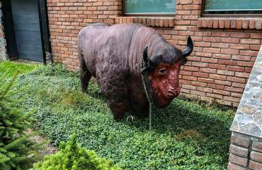 Willa Mortęgi - Foto 15