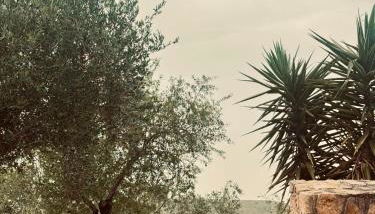 Villa Cattleya - Foto 3