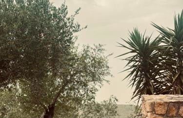 Villa Cattleya - Foto 3