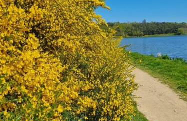 Domaine d'Annégré - Foto 25