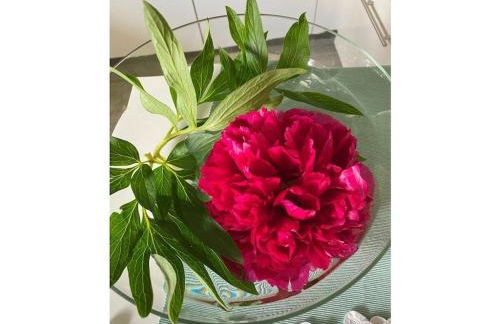 Am Wiiwegli Comfortable holiday residence - Foto 14