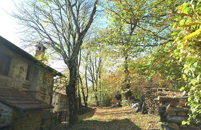 Bright Holiday Home in San Marcello with Pool near Meadows - Photo 23