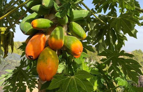 Villa Liman - Foto 21