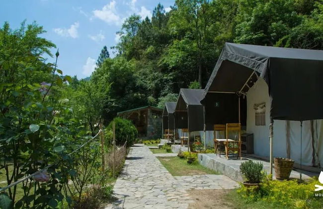 Hail Himalayas - Foto 32