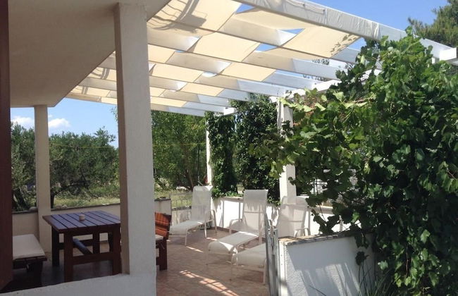 Apartments Ivana Murter - Foto 1