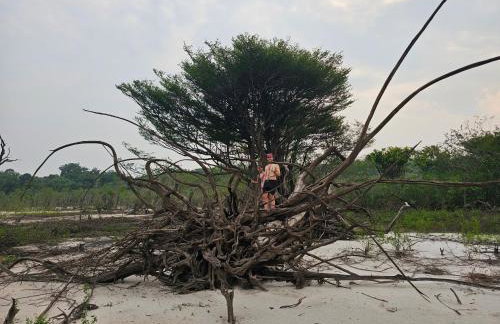 Premium Amazon Jungle Lodge - Foto 52