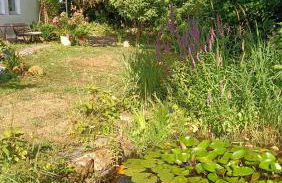 Casa Verde Sinnerthal - Foto 53