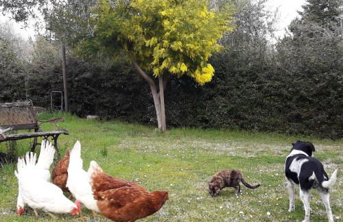 La casa di Eva - Foto 33