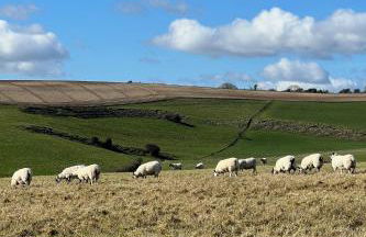 Beautiful Mews Cottage near Brighton Seafront in Rottingdean Village - Foto 58
