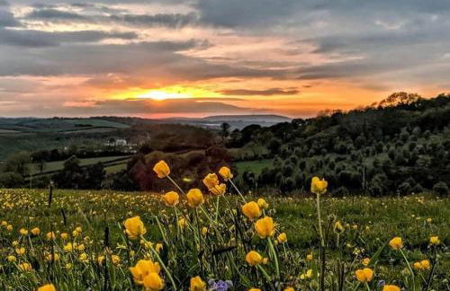 The Estate - Photo 13