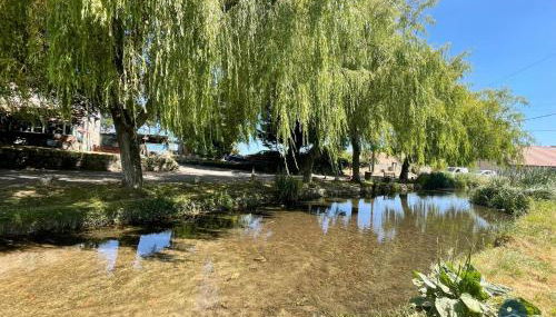 Wildflower Cottage - Sutton Poyntz - Foto 4, Other