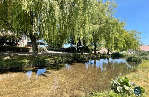Wildflower Cottage - Sutton Poyntz - Foto 4