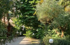 VillaLuigia - Oasi le Palme - Photo 3