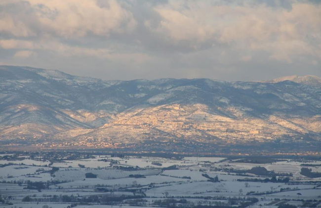 Meublé Il Riccio - Foto 15