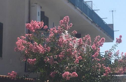 Coastal Cliff, Amalfi - Photo 25