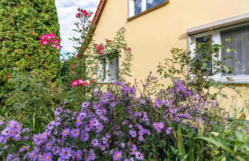 Ferienwohnung im Blumengarten - Foto 19