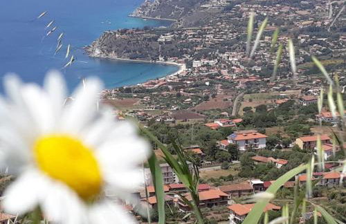 Villettemire - Foto 27